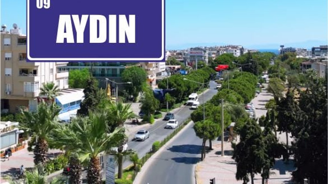 Aydın İlinin Kaç İlçesi Var ve En Büyük İlçeleri Hangileri?