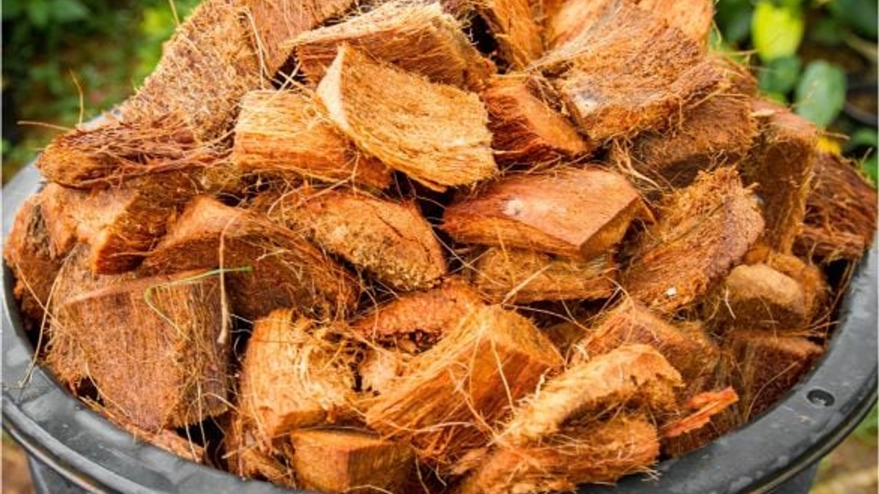 Balıkesir’de Cocopeat Kullanımı Artıyor
