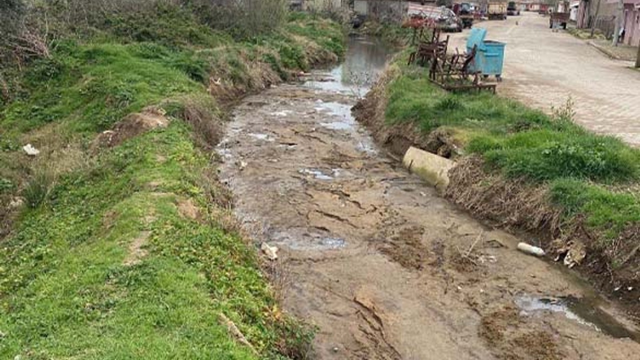 Balıkesir'de Hayvansal Atıklar Mahalleyi Zehirliyor!