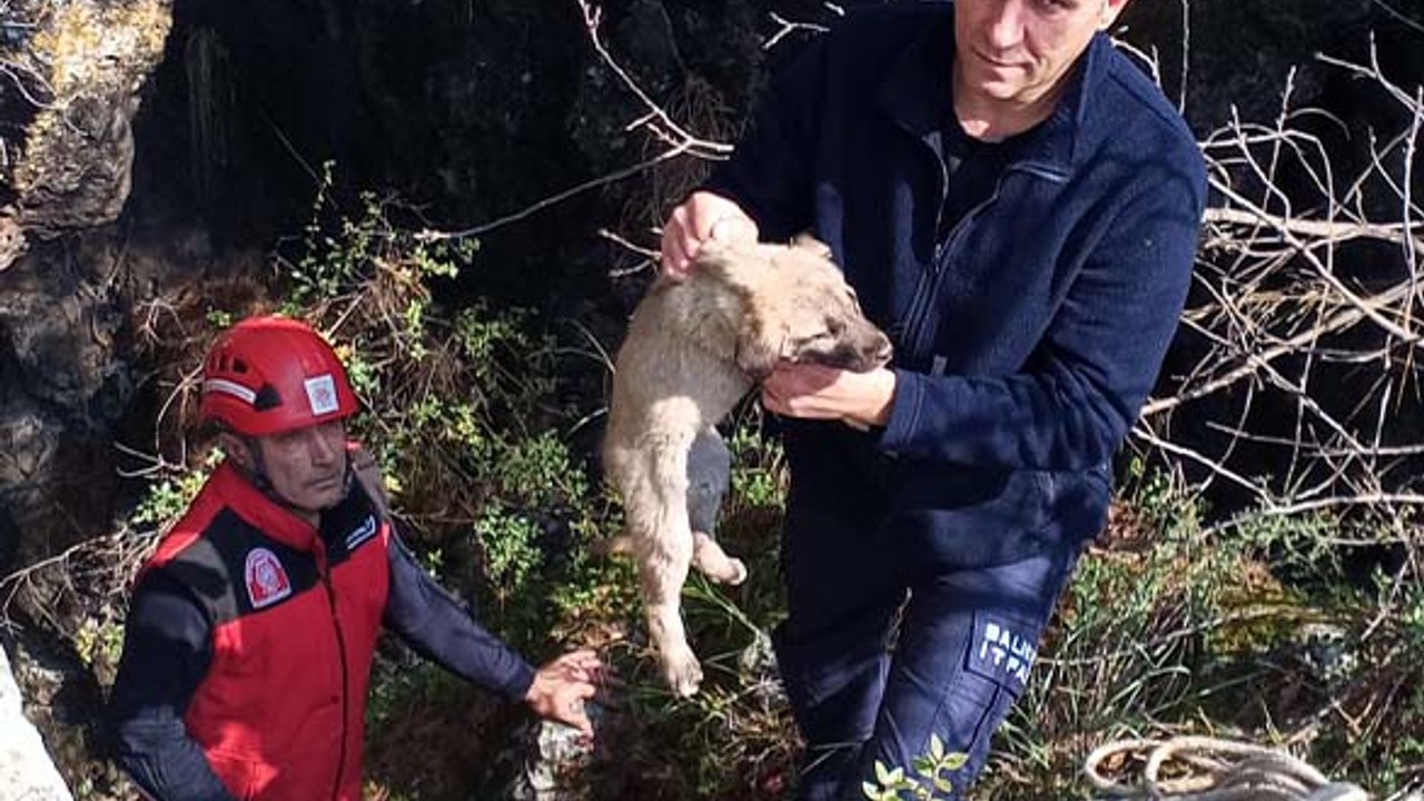 Çukura Düşen Köpek Yavrusunu İtfaiye Kurtardı