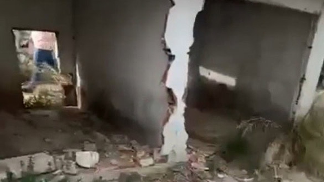 Erdek'te Hayvan Barınağı Krizi