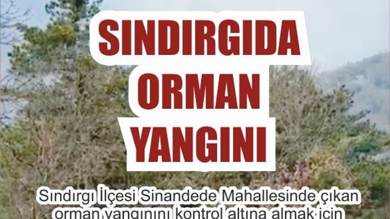 Balıkesir'de Orman Yangını Çıktı
