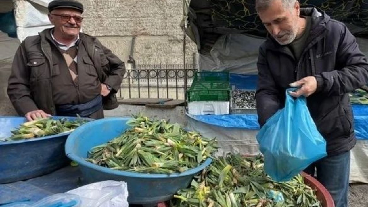 Doğal Antibiyotik Çiriş Otu Tezgahlarda Yerini Aldı