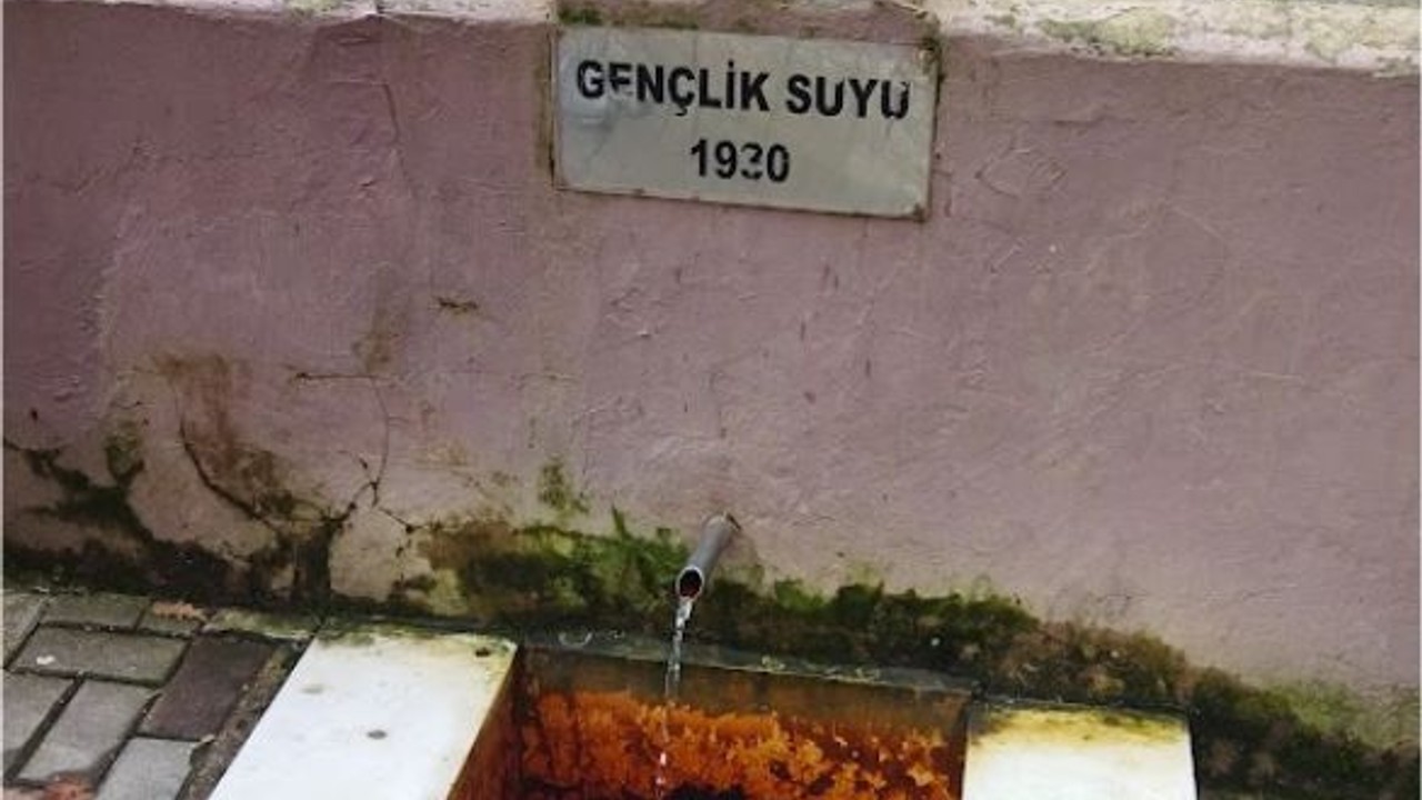 Gençlik Suyu Gönen'de Akıyor!