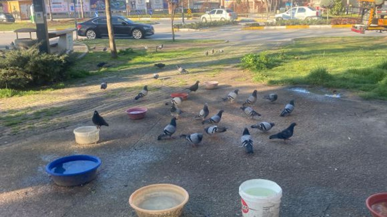 Balıkesir’de Hayvanlara Özel 2 günde bitiyor