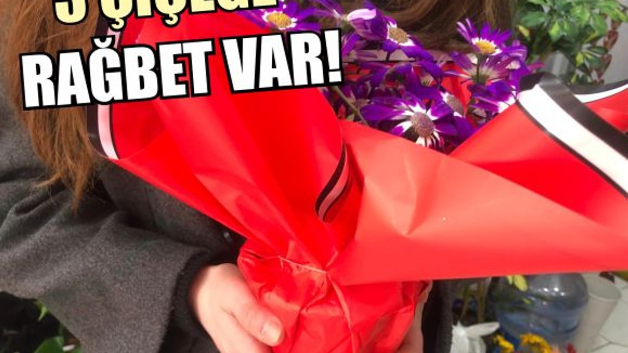 Balıkesir’de Nisan Ayında Tercih Edilen O Çiçek!