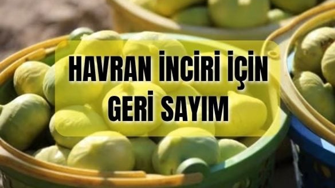 Havran İnciri Ne Zaman Çıkar?