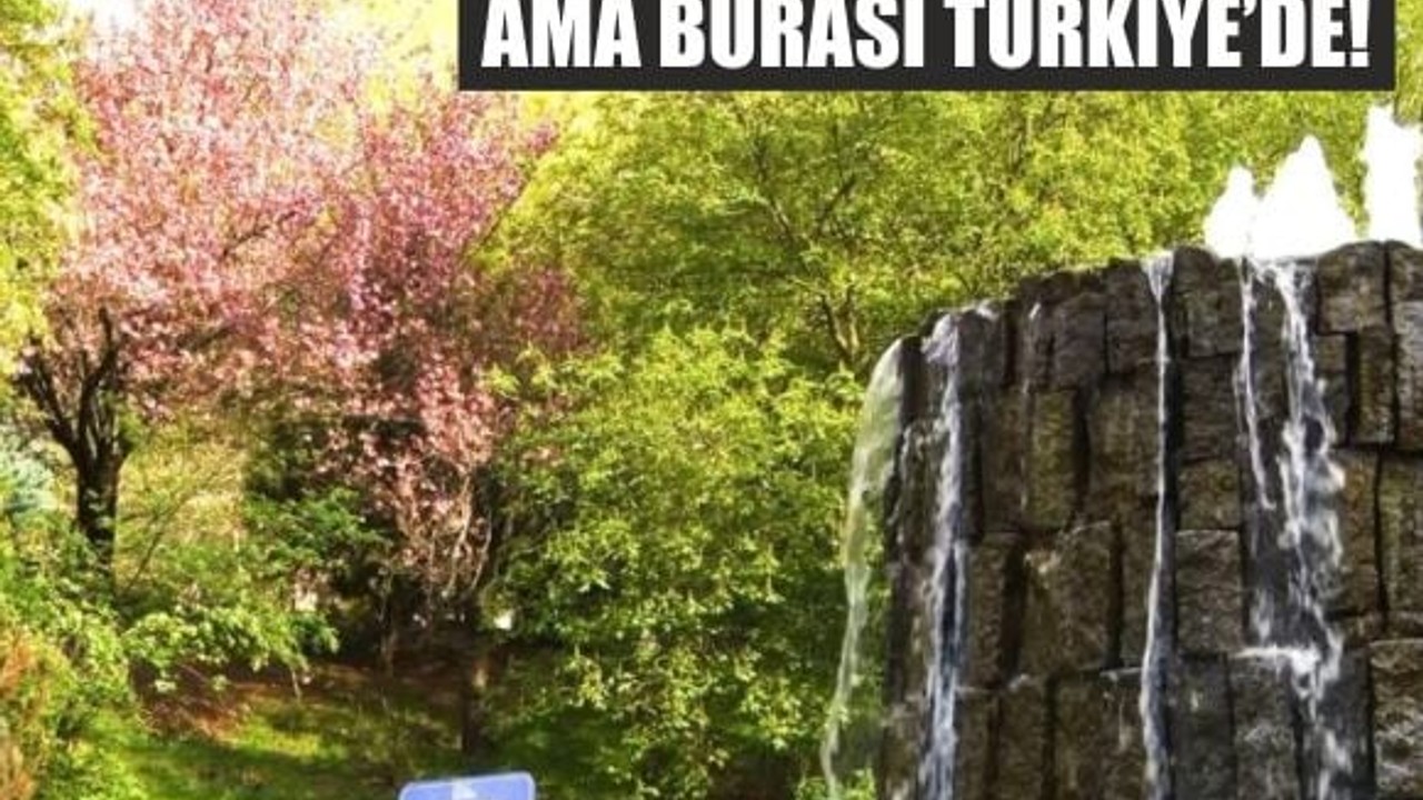 Sakuralar Çiçek Açtı, Vadisi Ziyaretçi Akınına Uğradı