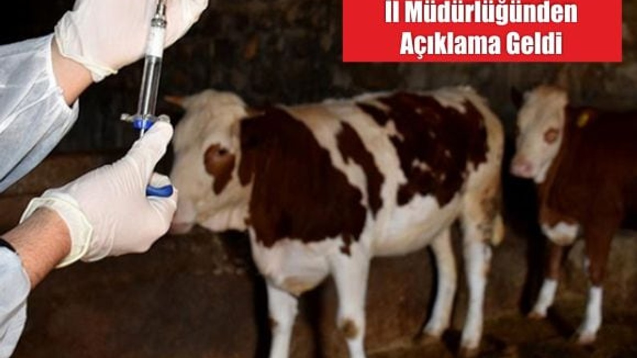 Balıkesir’de Şap Alarmında Son Durum!