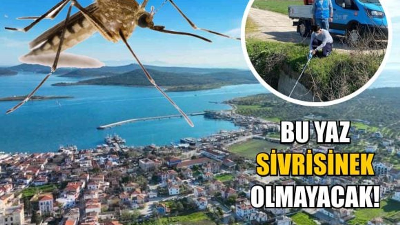 Sivrisineksiz yaz için Büyükşehir seferber