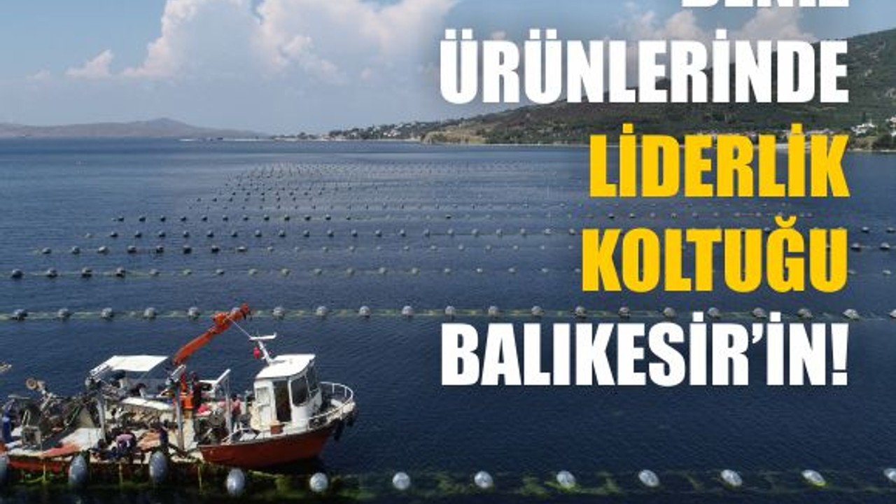 Balıkesir, Midye Üretiminde Türkiye’nin Lideri