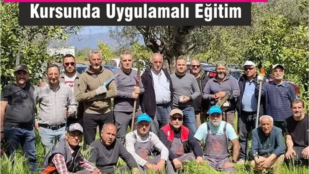 Edremit’teki Zeytin Budamacılığı Kursunda Uygulamalı Eğitimler Verildi