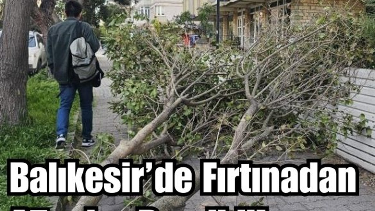 Bandırma’da Fırtına Etkisini Gösterdi