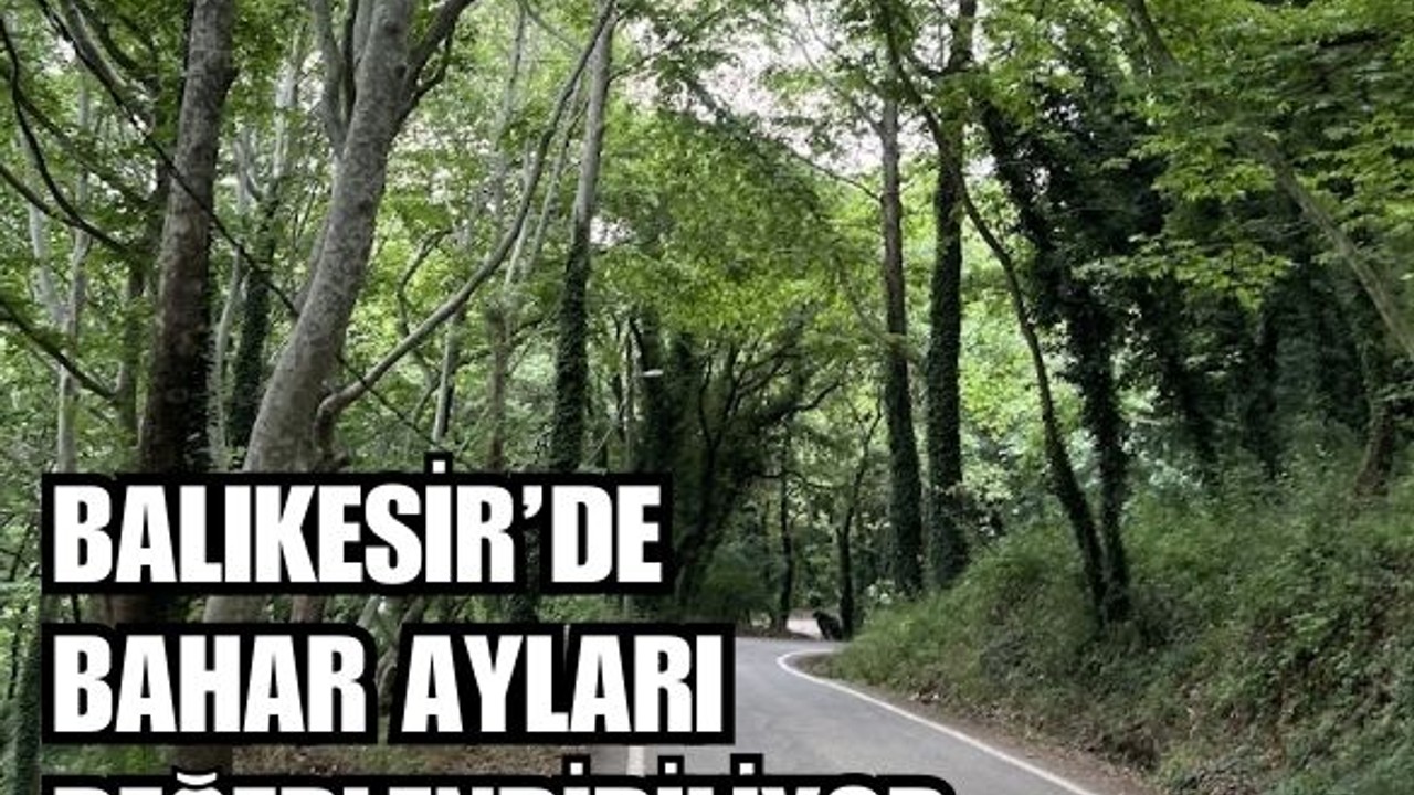 Balıkesir'in İlkbaharında Yapılacak En İyi Şey!
