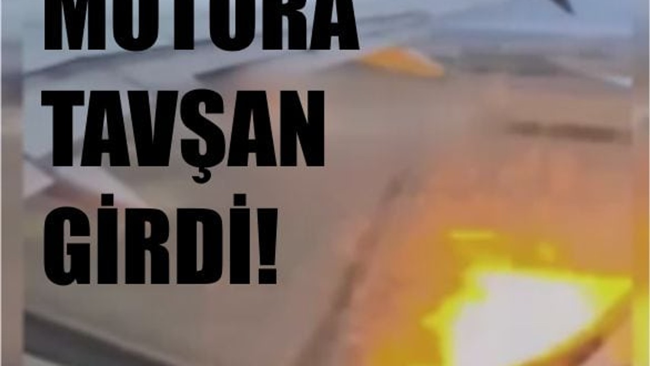 Tavşan Motora Girdi, Uçak Alev Aldı!