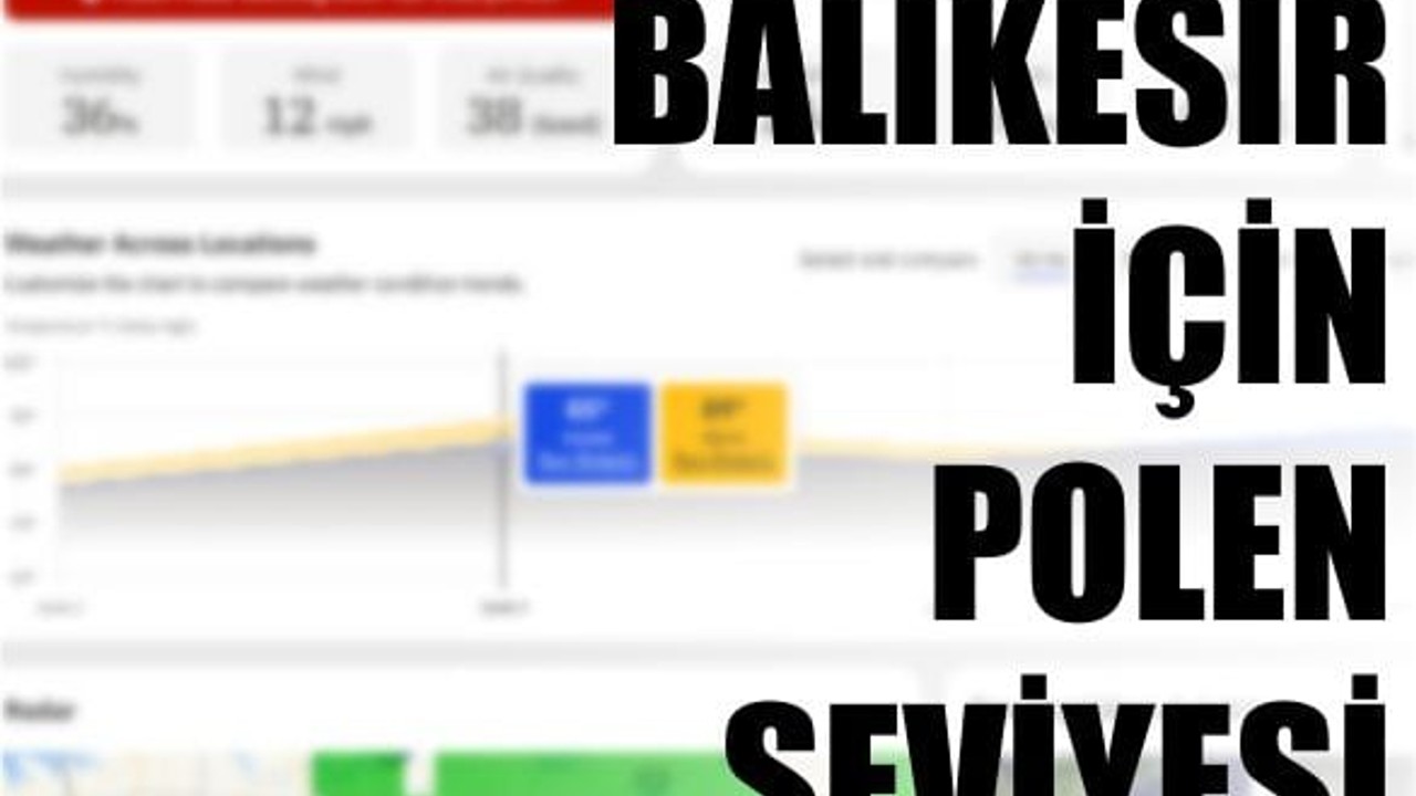 Balıkesir’de Polen Seviyesi Alarm Veriyor