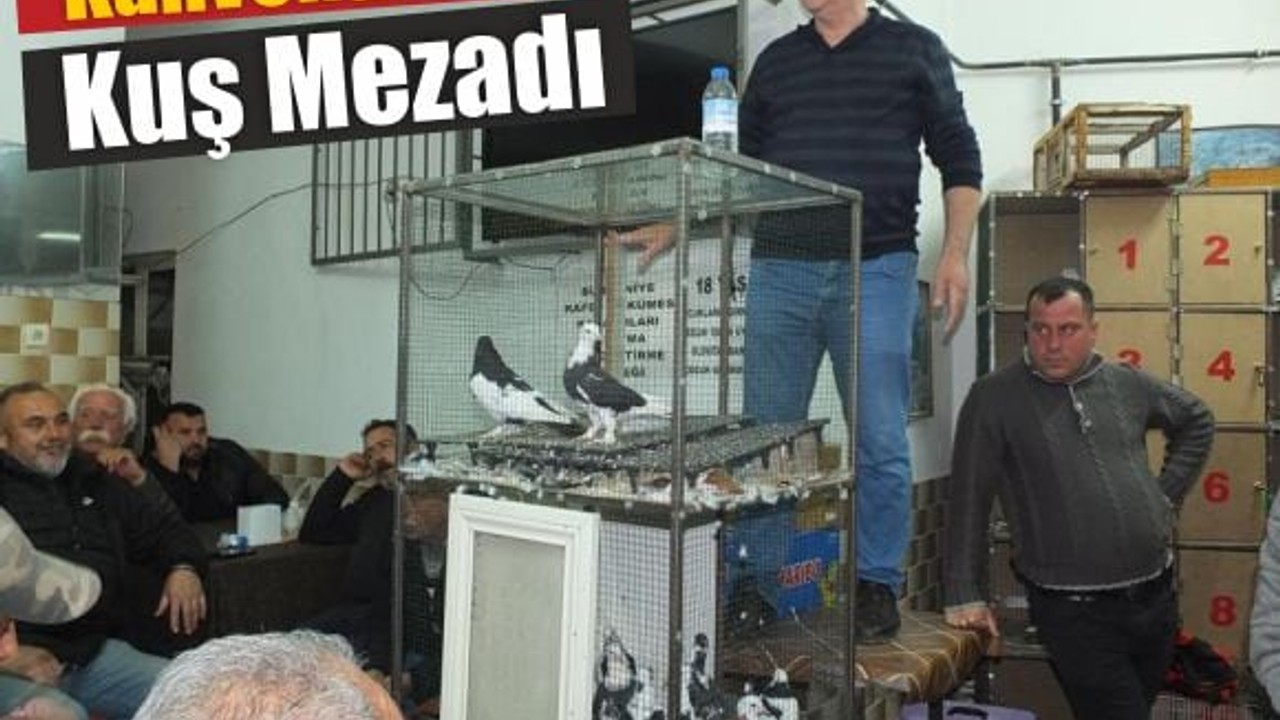 Satış Yok, Takas Var! Burhaniye’de Kuş Mezadı
