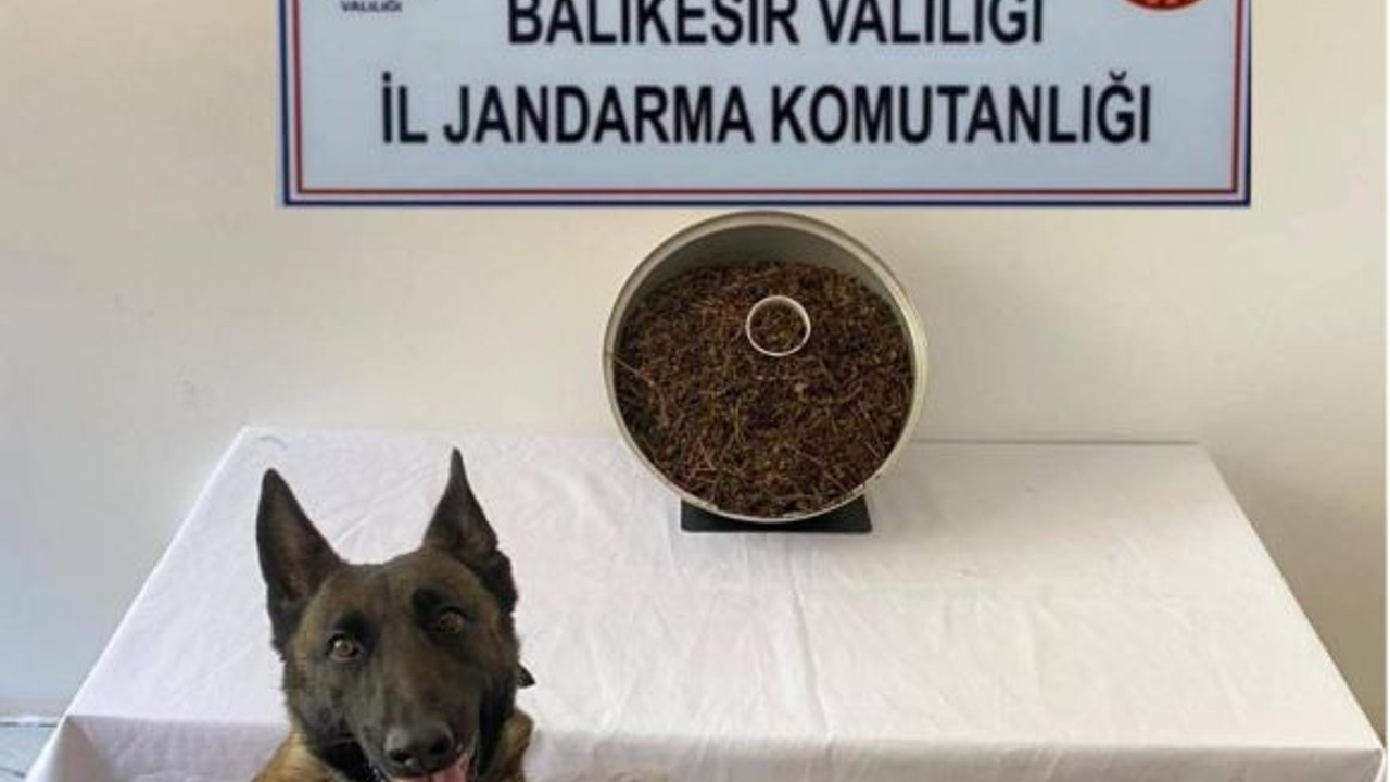 Jandarma 1 Haftada 29 Suçun Peşine Düştü