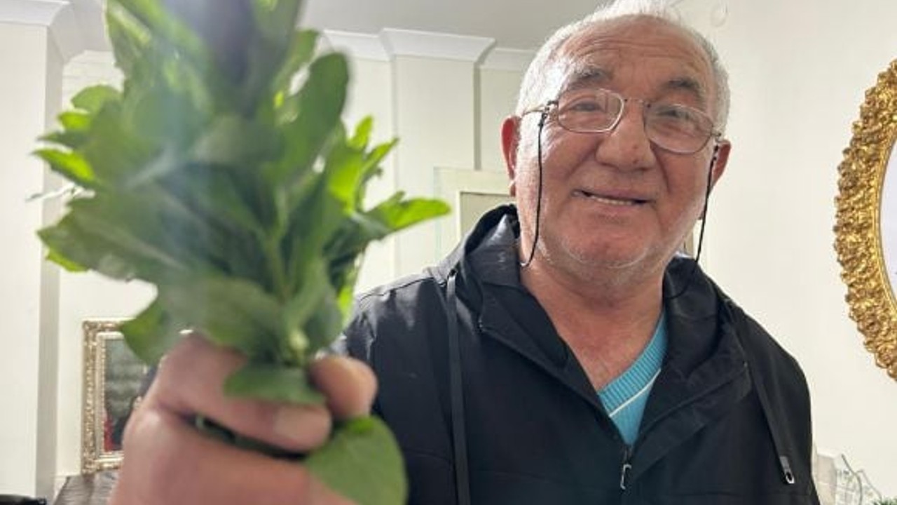 Balıkesir Şamlı'dan Yarpuz Çorbası Tarifi