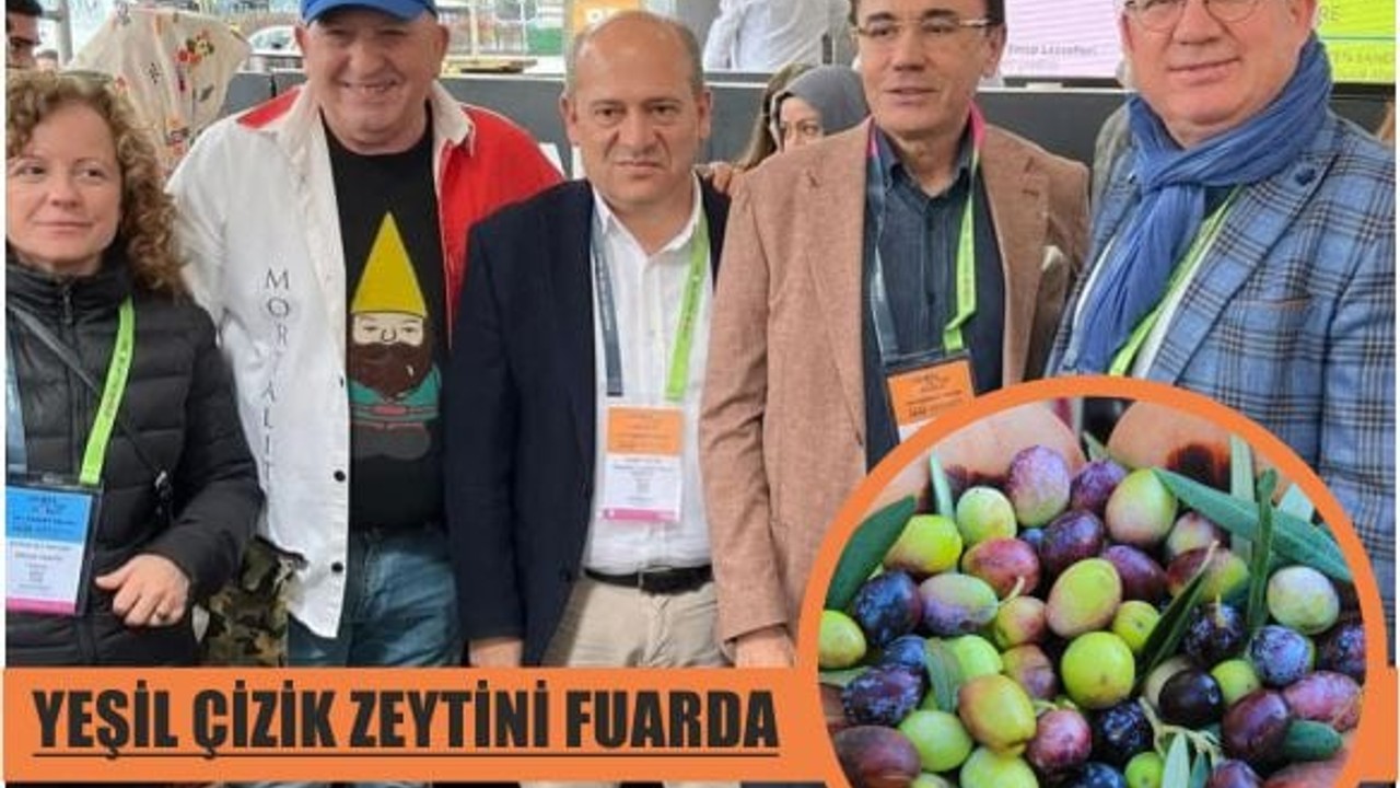Edremit Yeşil Çizik Zeytini Fuarda Tanıtıldı