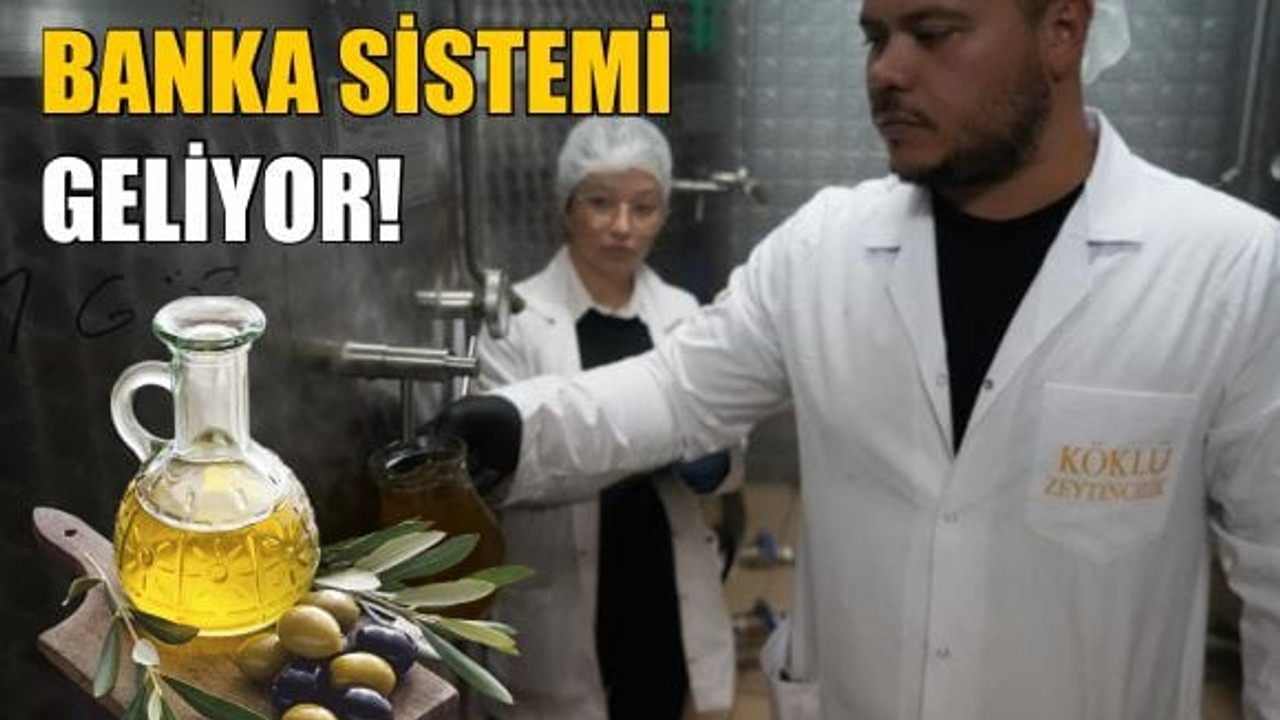Edremit’te Türkiye’de Bir İlk