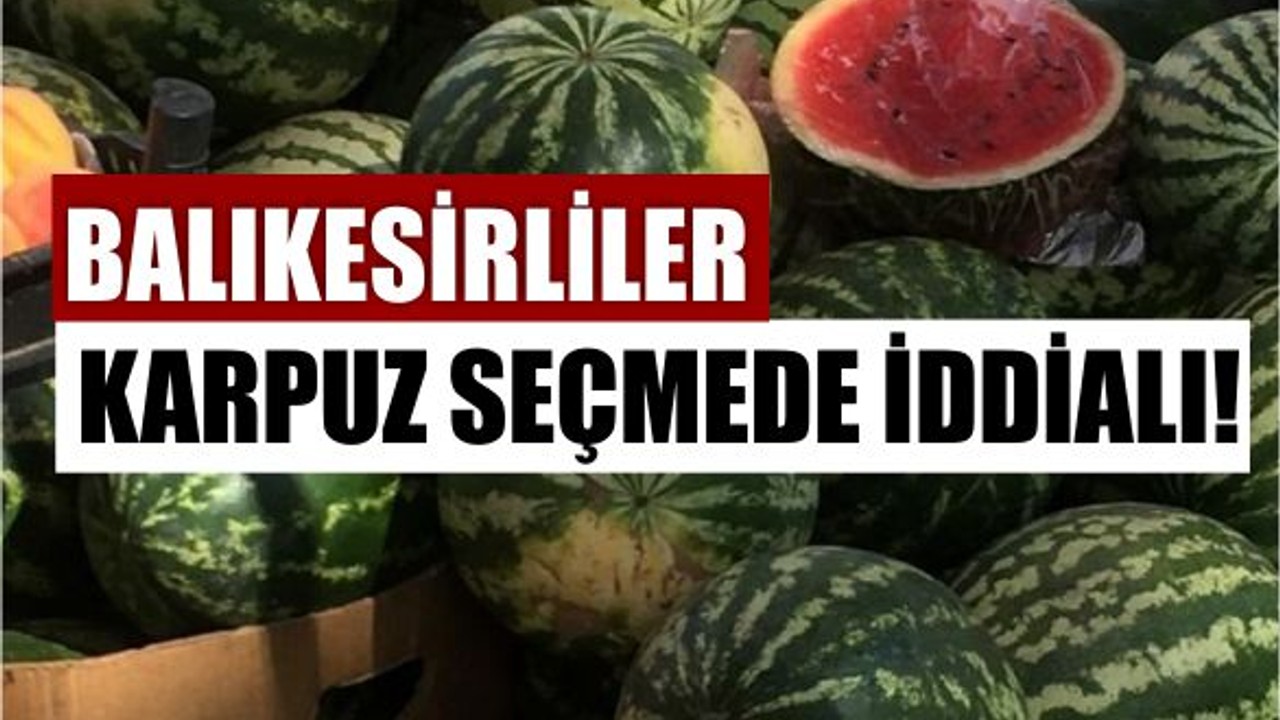 Balıkesir'de Tatlı Karpuz Böyle Seçiliyor