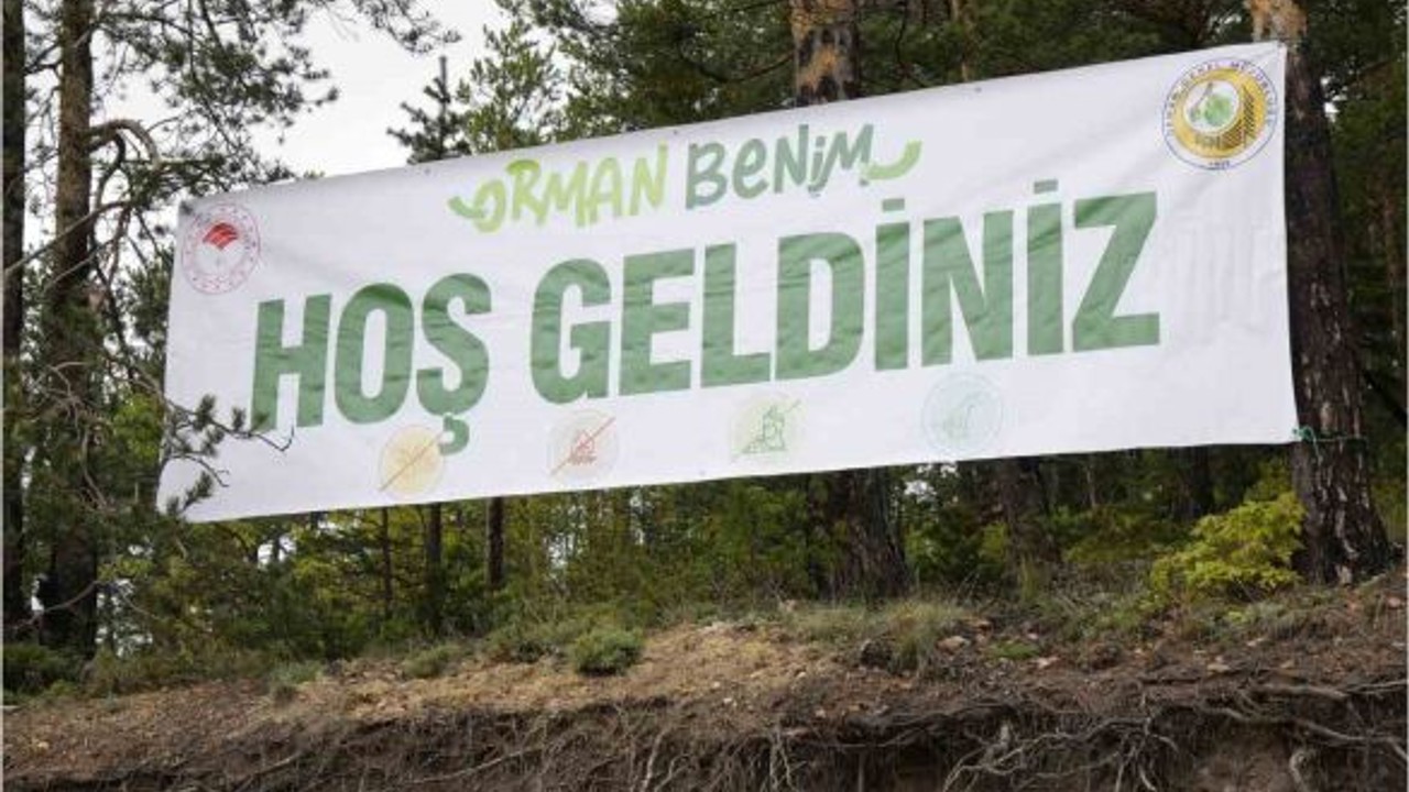 Balıkesir'de Ormanlar İçin Eş Zamanlı Hareket