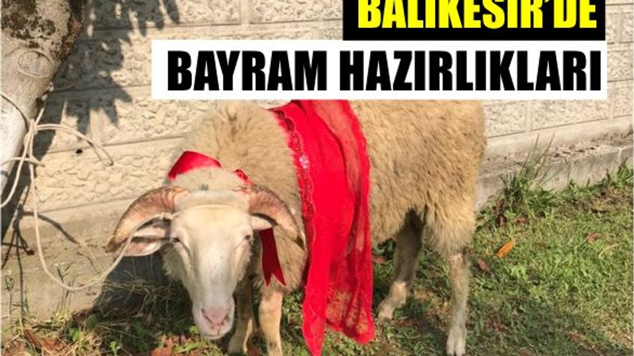 Balıkesir'de Kurban Bayramı Hazırlığı Başladı