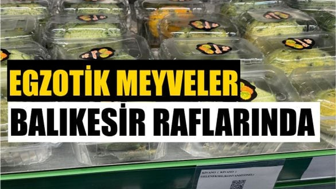 Balıkesirliler Farklı Meyve Arayışında