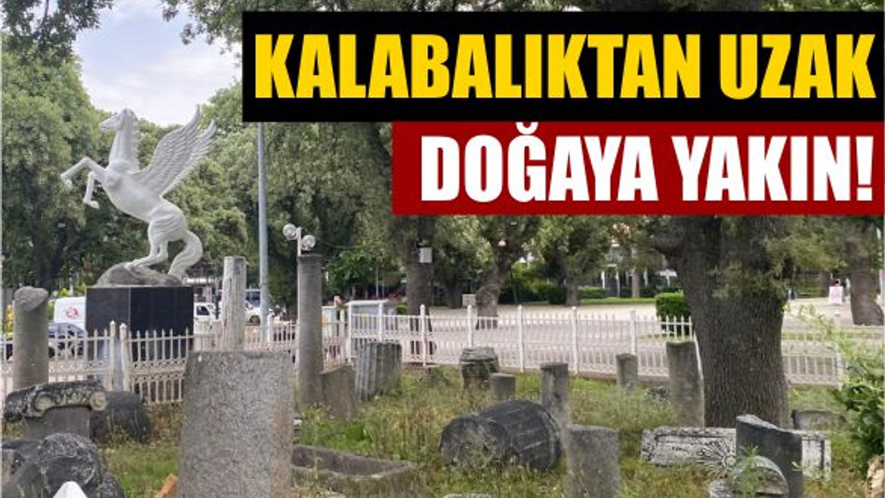 Şehirden Uzak, Huzura Yakın: Balıkesir’den Ören’e Kaçış