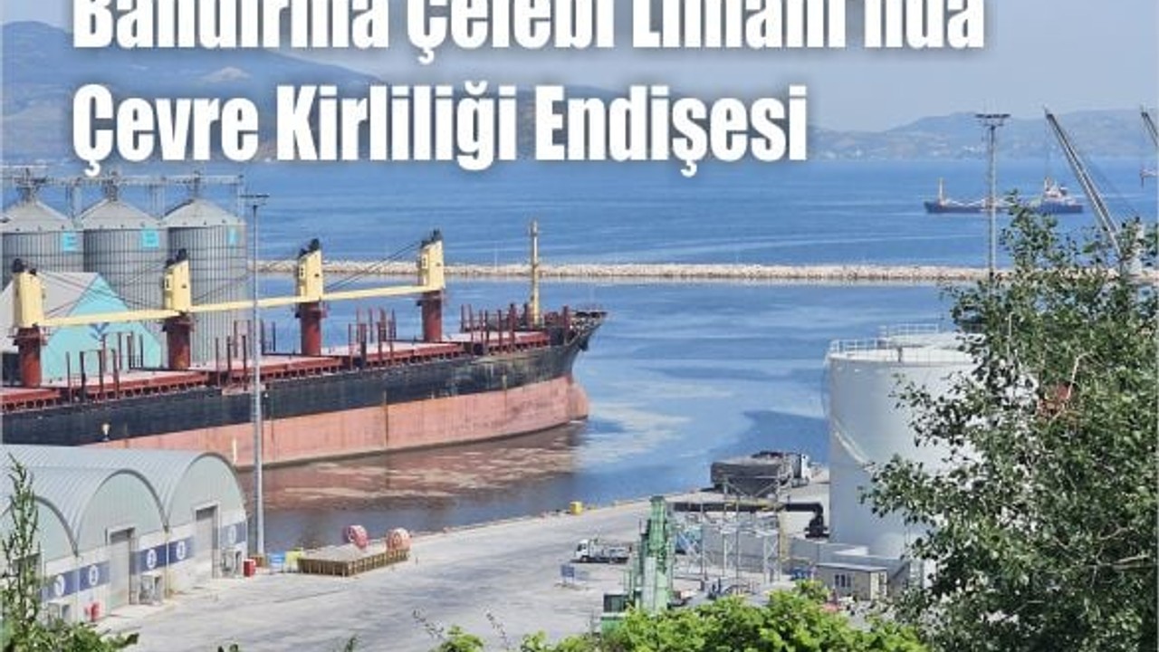 Bandırma Çelebi Limanı'nda Çevre Kirliliği Endişesi