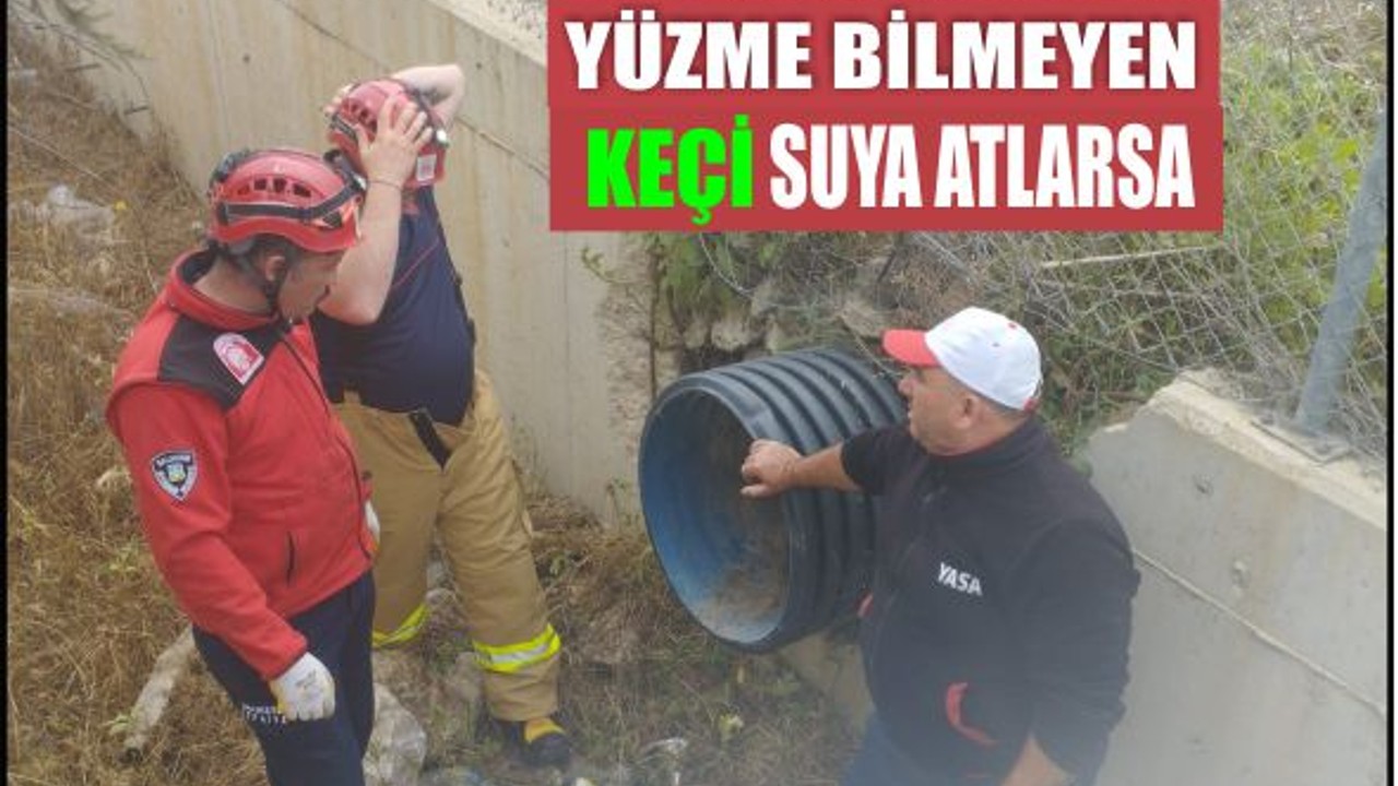 Susurluk'ta Kanala Düşen Keçi İtfaiye Tarafından Kurtarıldı