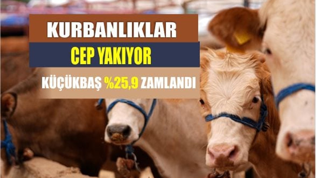 Kurbanlık Tahmini 3 Milyon 350 Bine Ulaştı