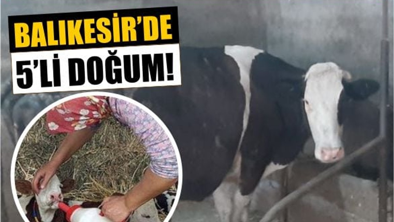 Bu Olay Romanlara Konu Olur: Balıkesir’de 5’li Doğum!