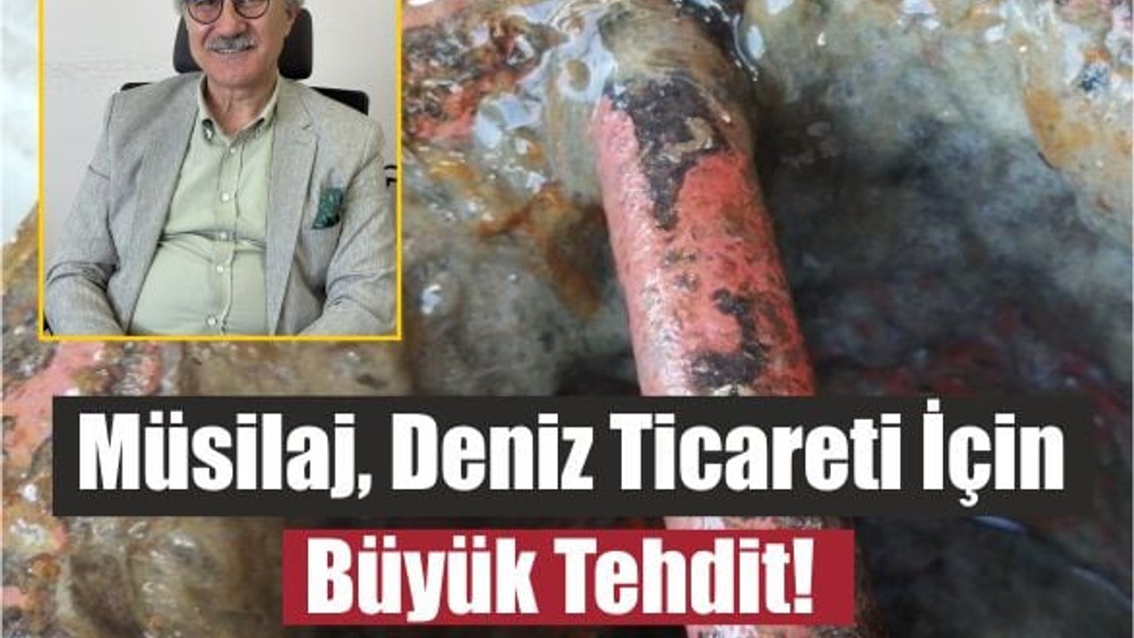 Müsilaj Gemi Motorlarını Nasıl Felç Ediyor?