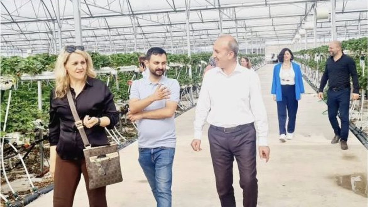 Balıkesir’de Modern Tarımın Örnek Serası Edremit'te