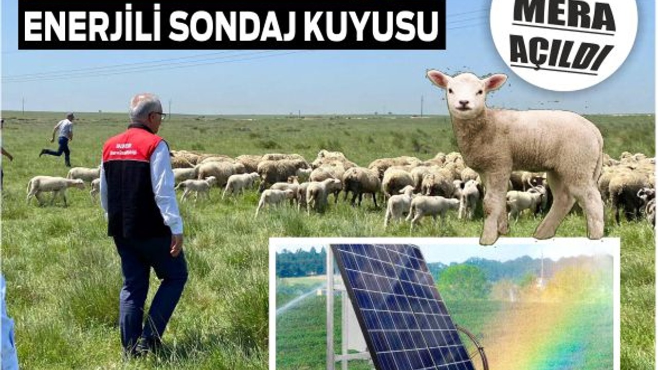 Balıkesir'de Unutulmuş Meralar Geri Dönüyor