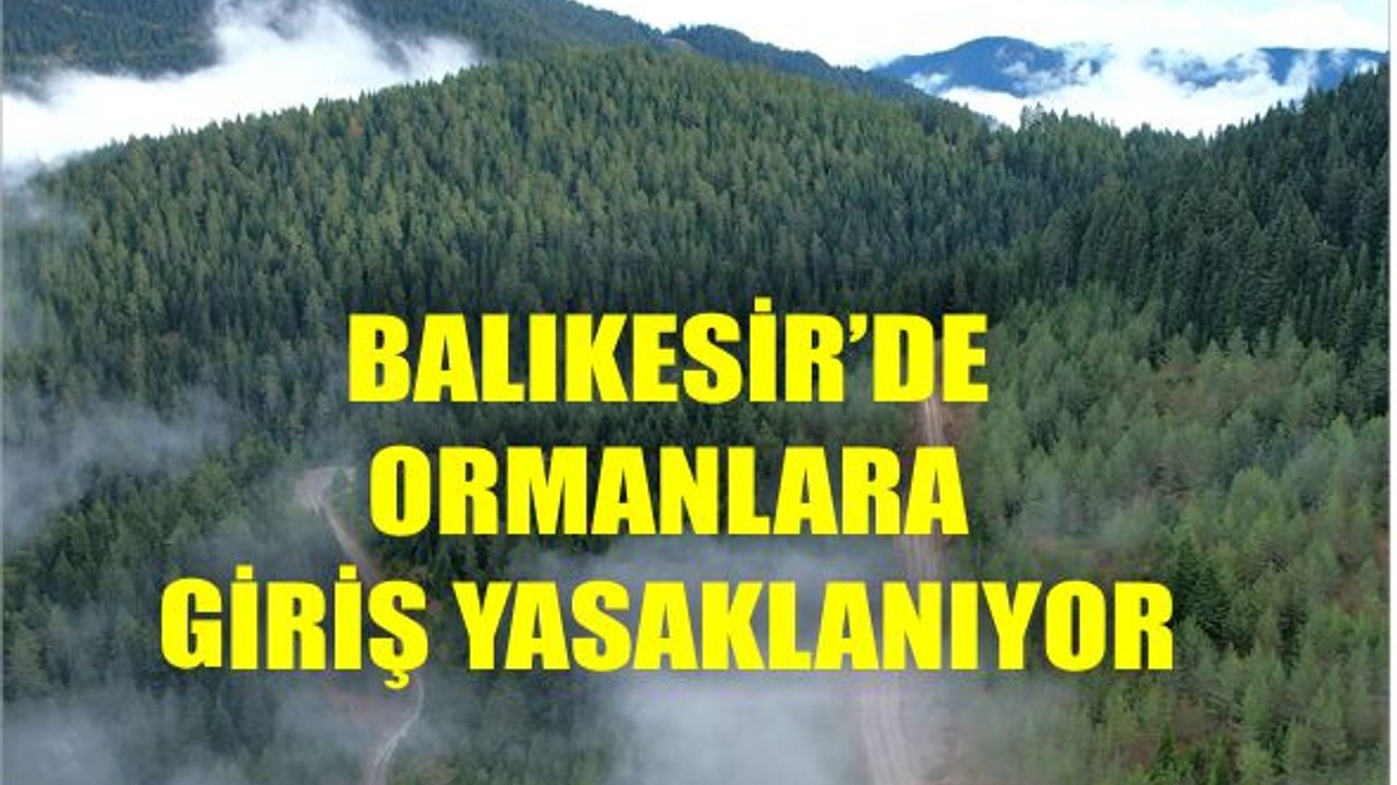 Balıkesir’de Orman Yasağı Başlıyor