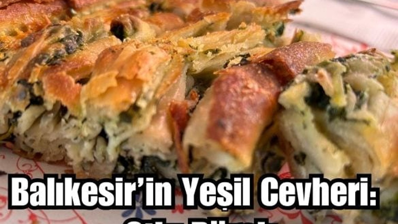 Balıkesir'in Yöresel Otlu Böreği