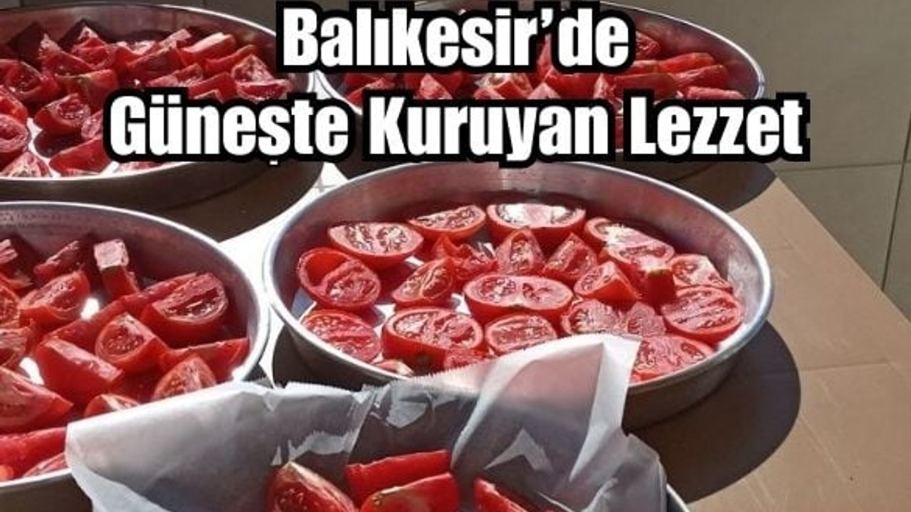 Balıkesir'de Domates Nasıl Kurutulur?