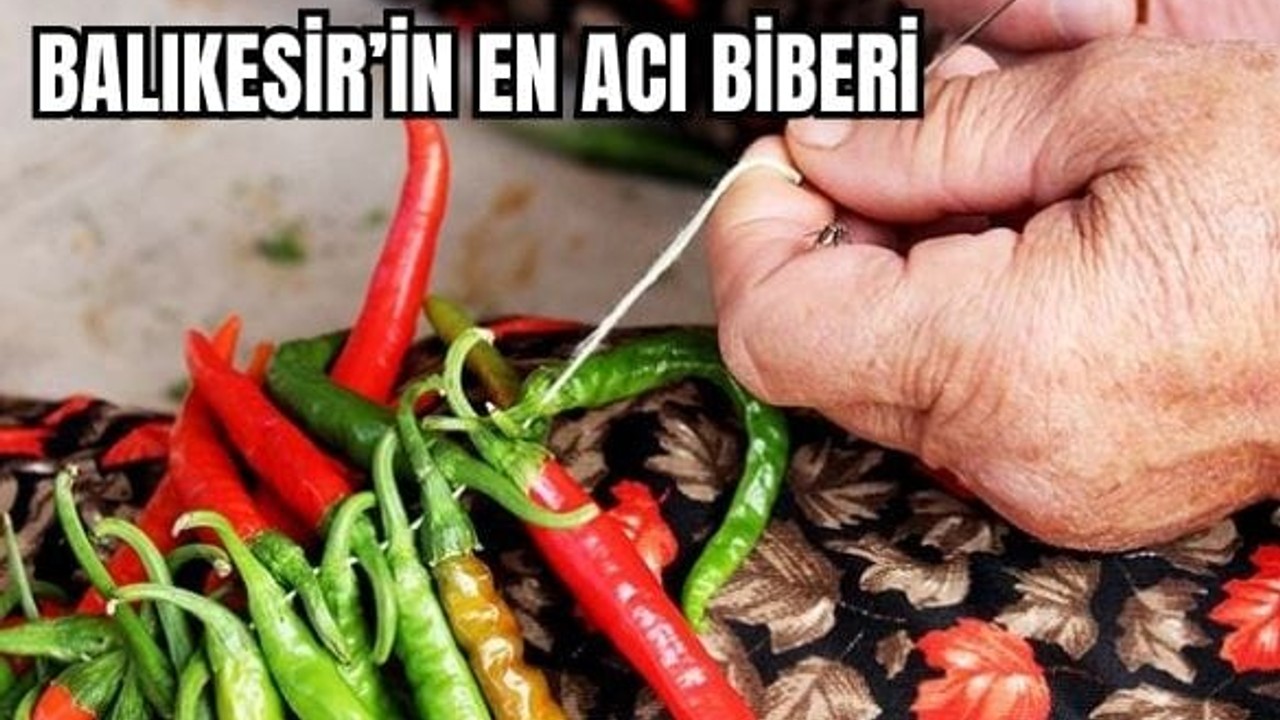 Balıkesir’in En Acı Biberi Köseler Köyü'nden Çıkıyor