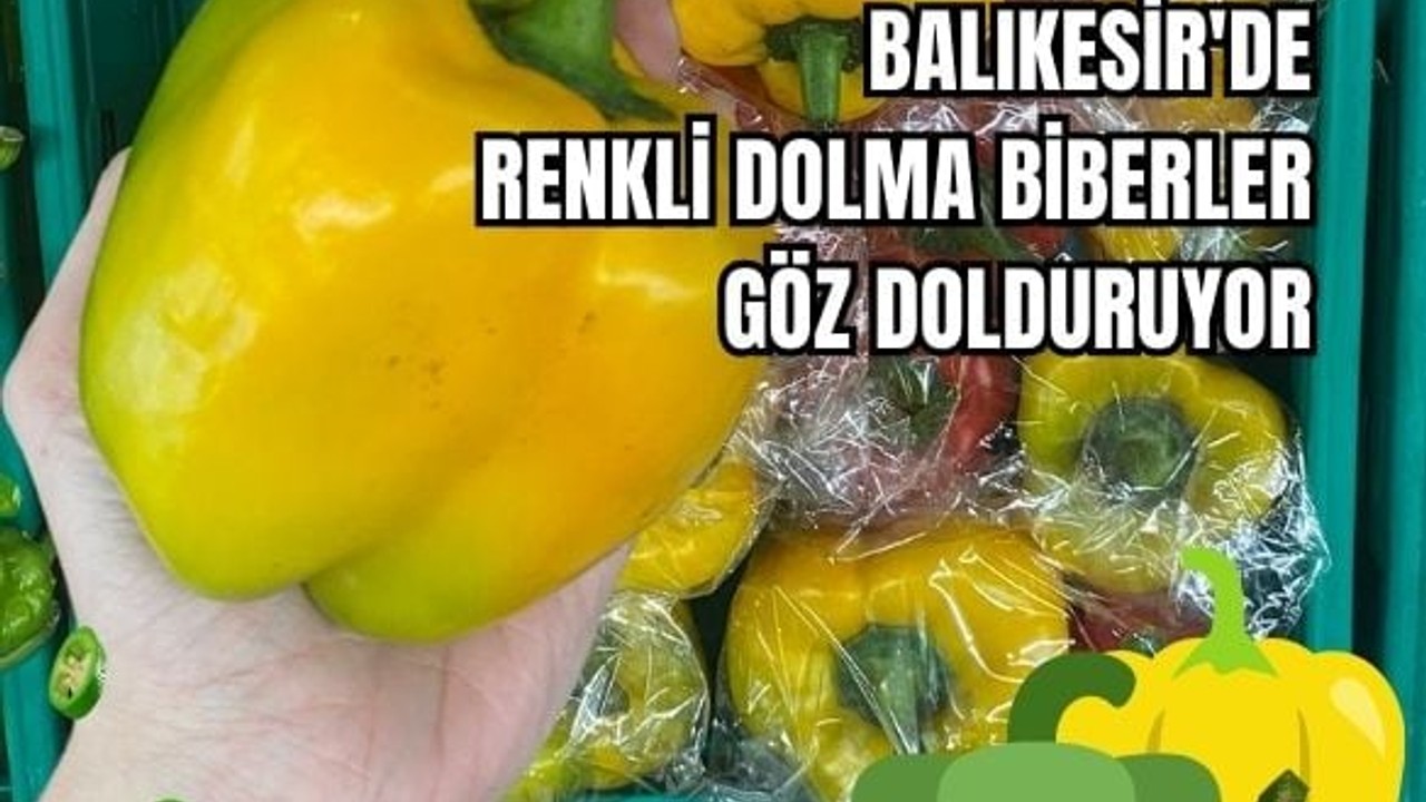 Balıkesir'de Her Renk Biberin Kendine Has Özelliği Var