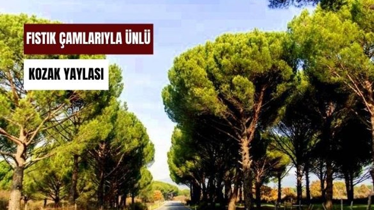 Yazın Sıcaktan Kaçış Noktası: Kozak Yaylası