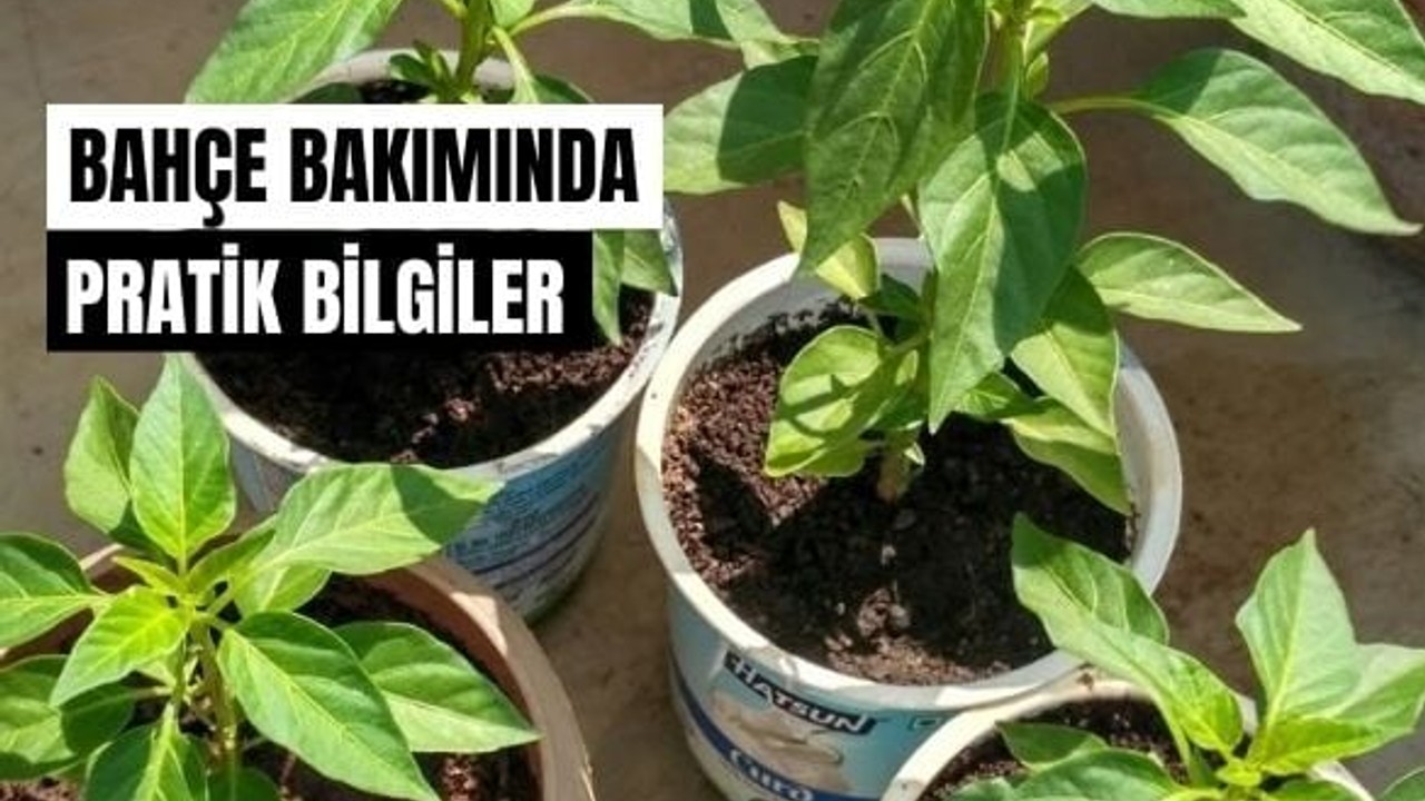 Balıkesir'de Mayıs Ayı Bahçe Bakımı