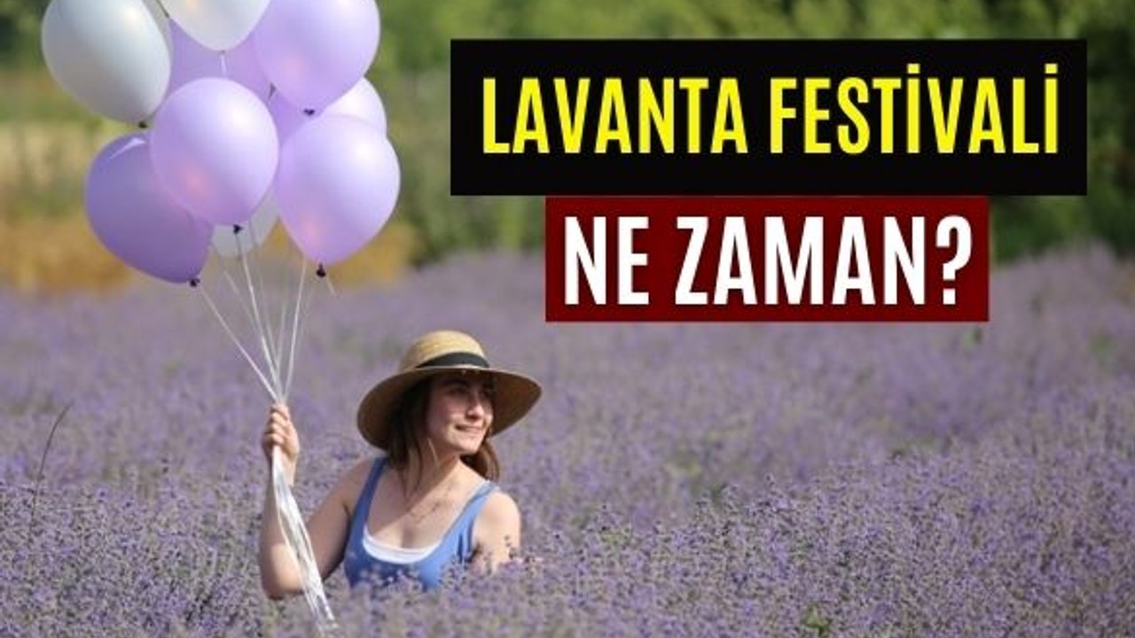 Balıkesir Lavanta Festivali Ne Zaman?