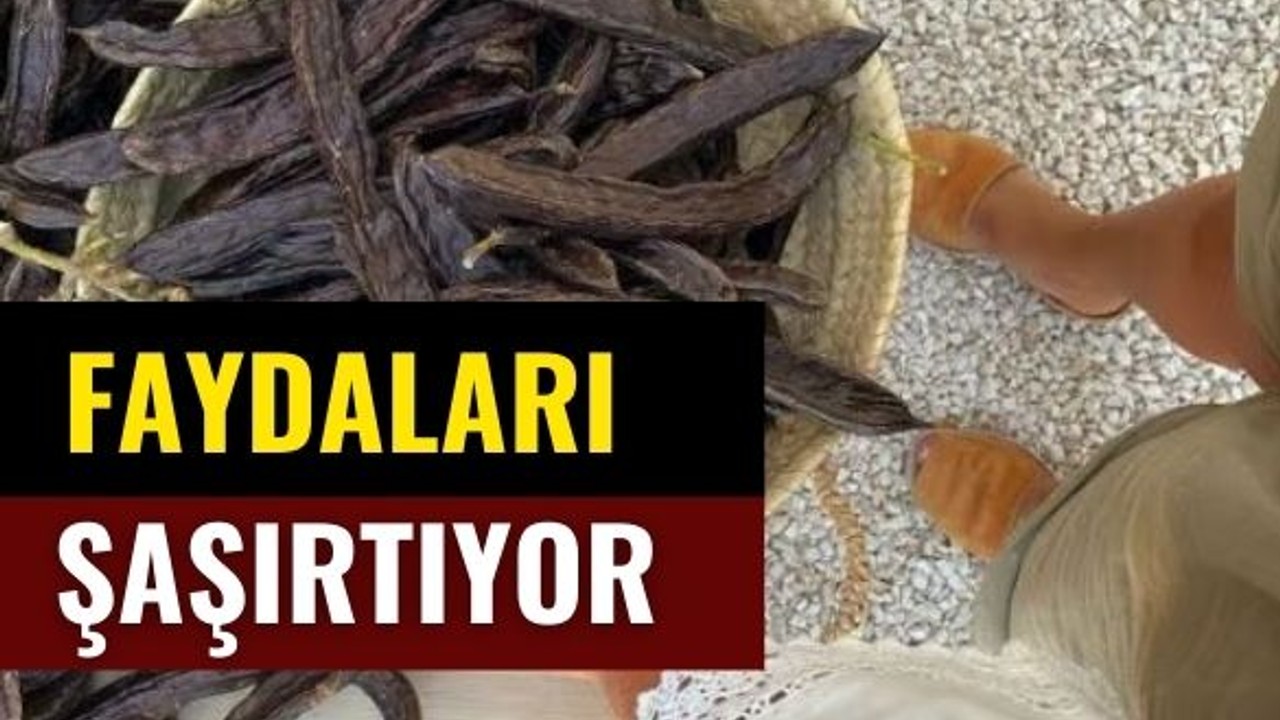 Balıkesir'de Sağlık İçin Keçiboynuzu Tüketiliyor