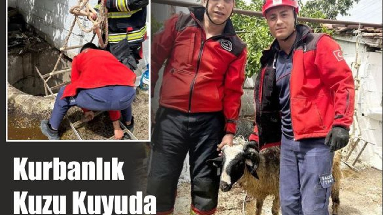 8 Metrelik Kuyuda Mahsur Kalan Kuzu Kurtarıldı