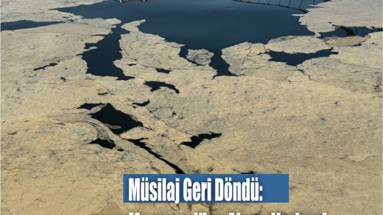Müsilaj Geri Döndü: Marmara Yine Alarm Veriyor!