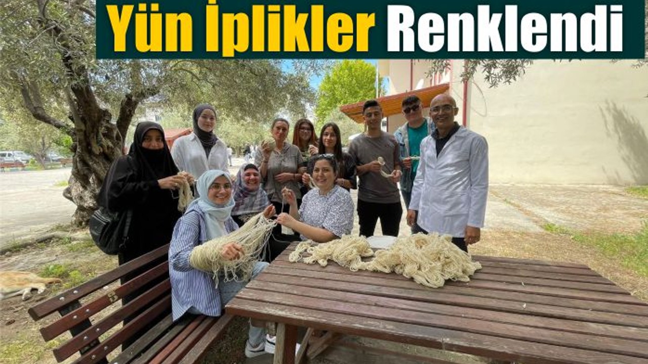 Yün İplikler Kök Boyayla Hayat Buldu