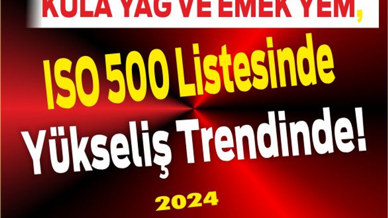 Kula Yağ ve Emek Yem, 2024'te de Yükselişte